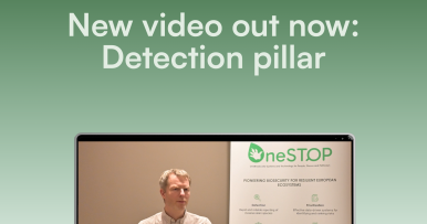 New video outlines the main characteristics of OneSTOP's detection pillar