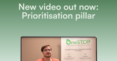 New video explores how OneSTOP helps set priorities in invasive species management