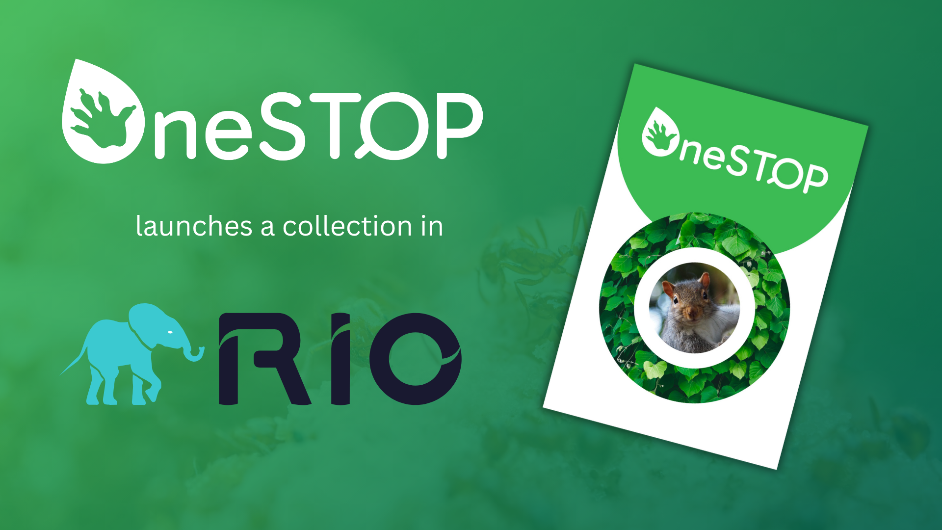 OneSTOP launches a collection in the Research Ideas and Outcomes (RIO) journal