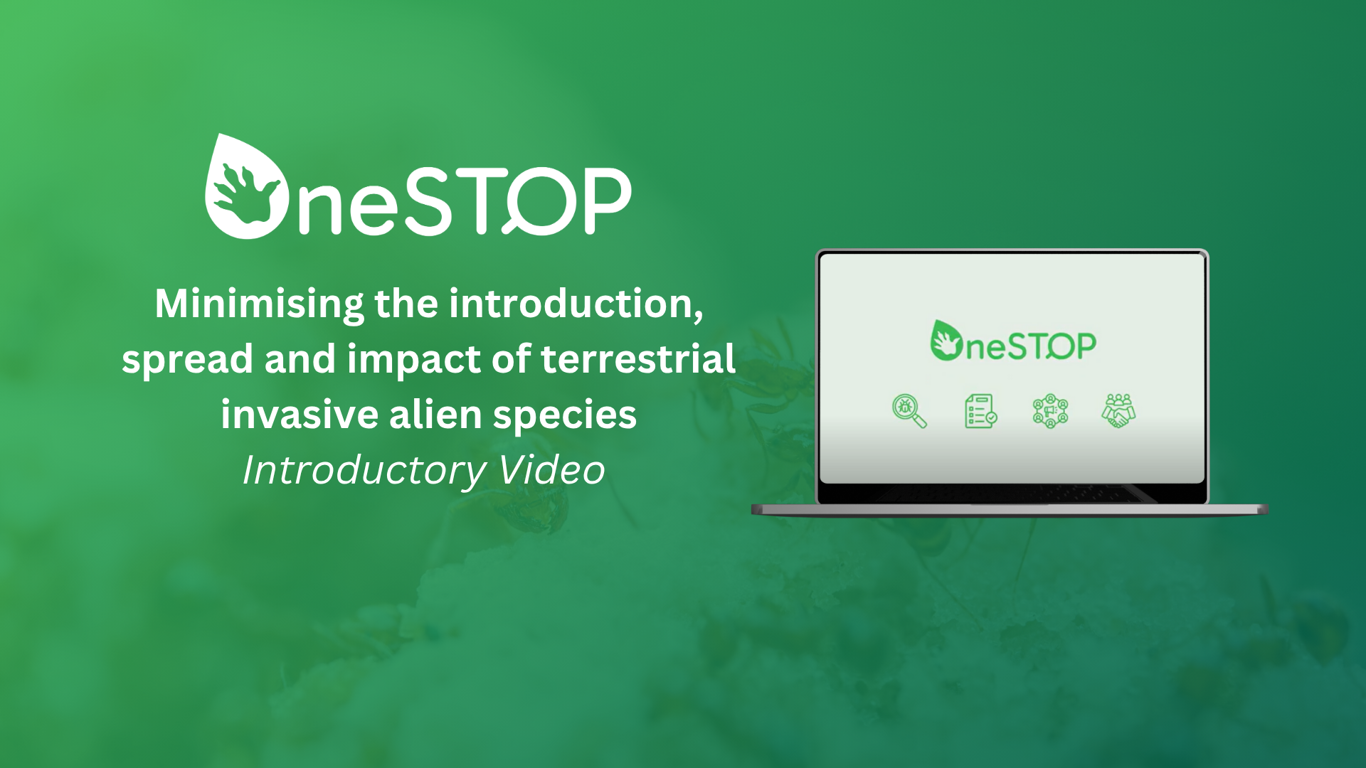 A new video introduces the OneSTOP Project