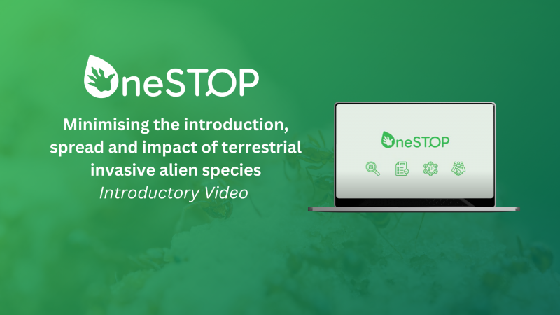 A new video introduces the OneSTOP Project