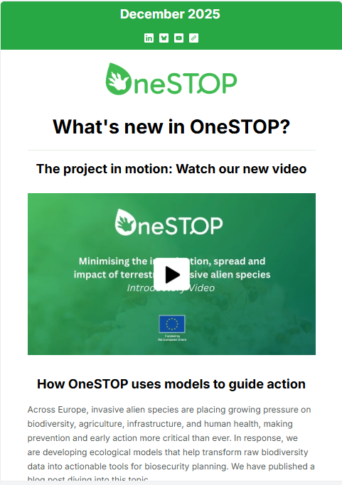 Newsletter II, December 2025