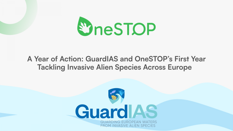 A Year of Action: GuardIAS and OneSTOP’s First Year Tackling Invasive Alien Species Across Europe