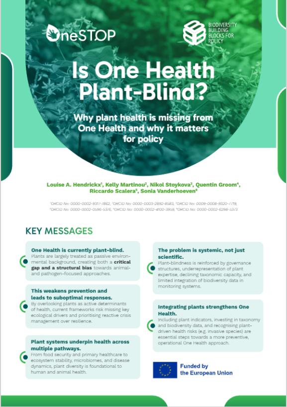 Is One Health Plant-Blind?