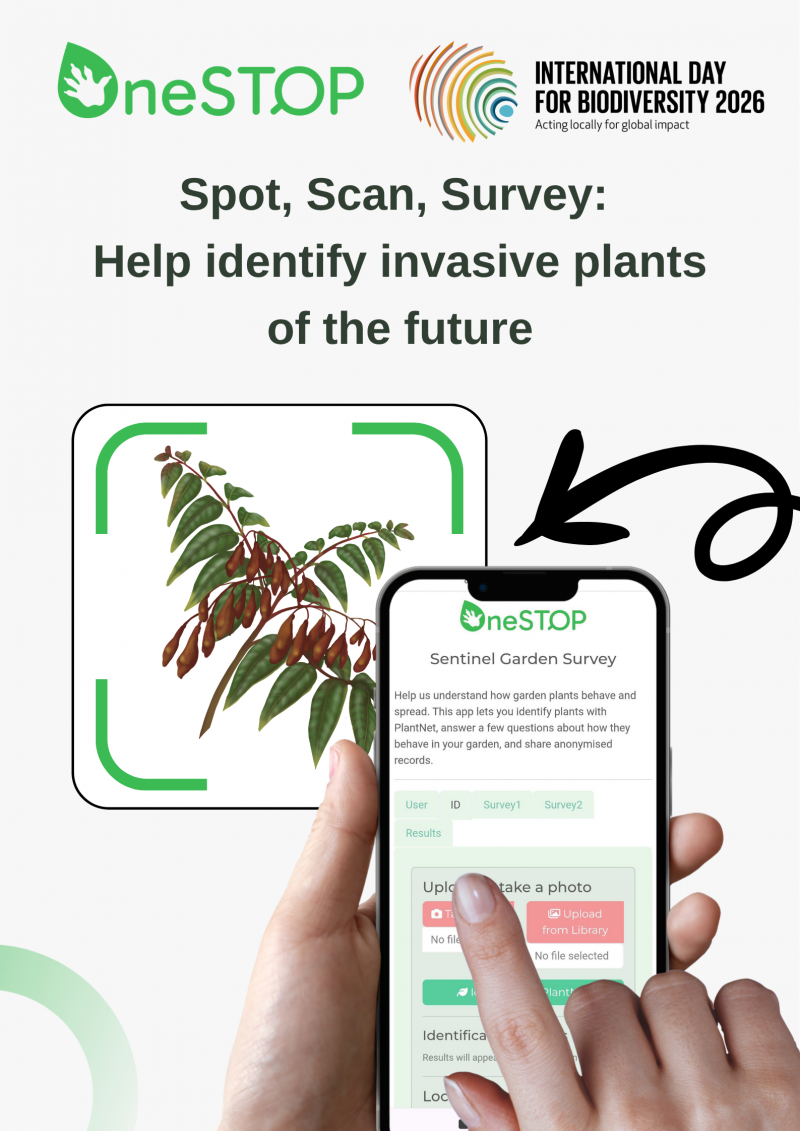 Spot, Scan, Survey: Help identify invasive plants of the future