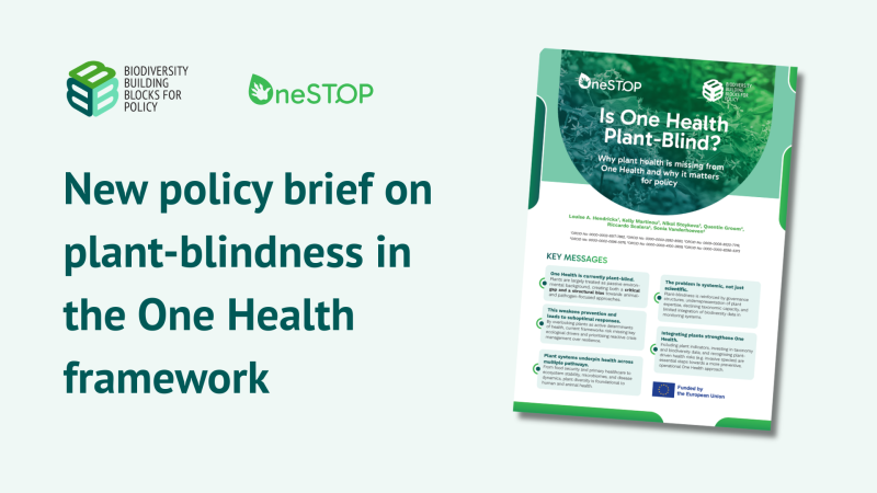 New policy brief addresses plant-blindness in the One Health framework