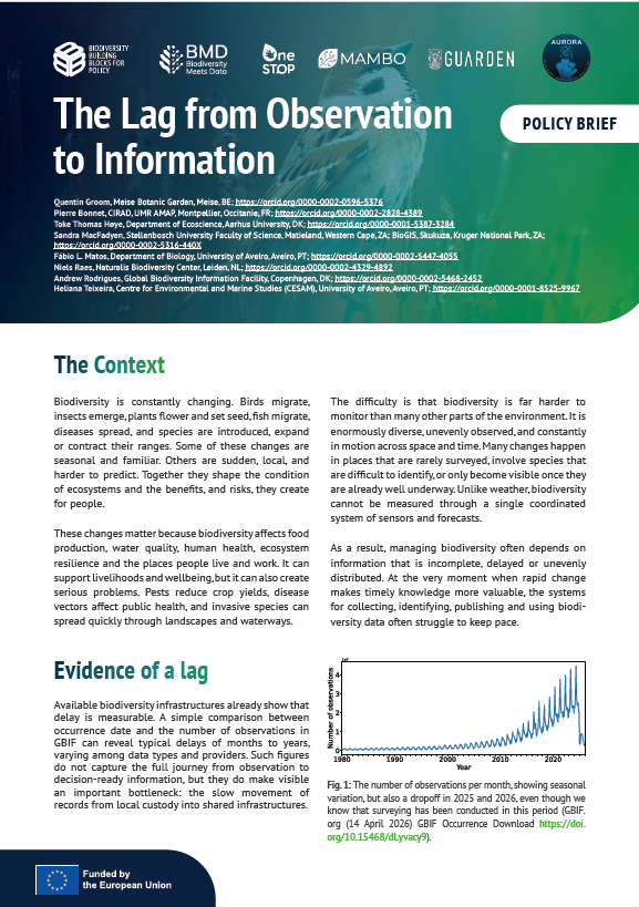The Lag from Observation to Information