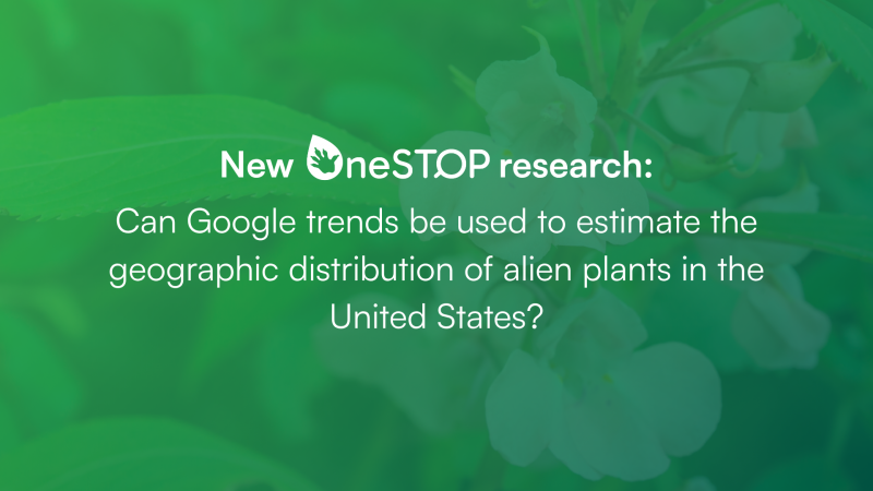 New OneSTOP research on using Google Trends for studying biological invasions from alien plants