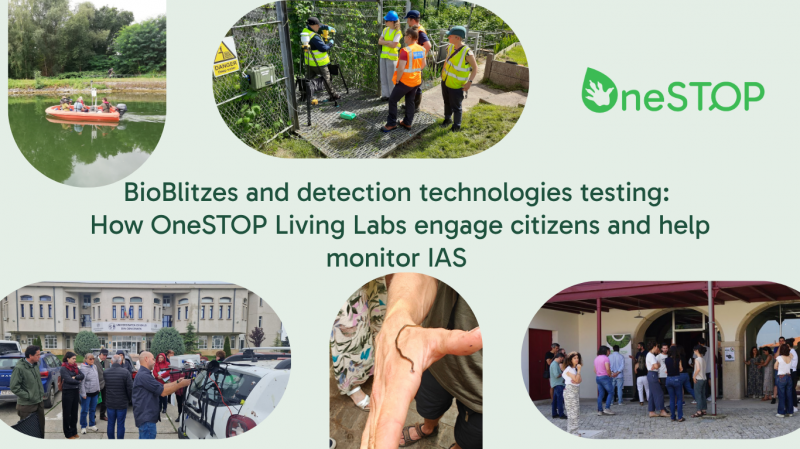 BioBlitzes and detection technologies testing: How OneSTOP Living Labs engage citizens and help monitor IAS