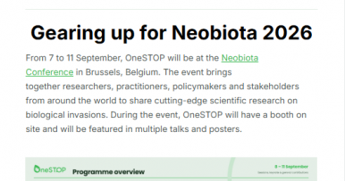 The third issue of OneSTOP's newsletter is out
