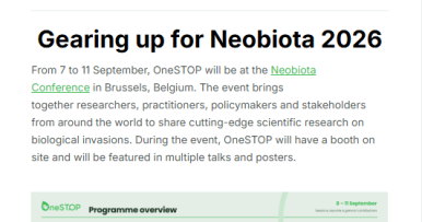 The third issue of OneSTOP's newsletter is out