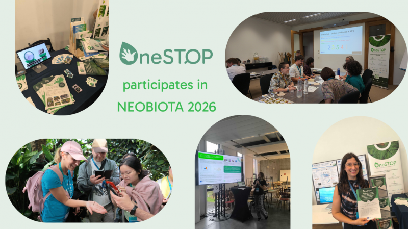 Highlights from NeoBiota 2026: Talking about Europe's Invasive Species Response